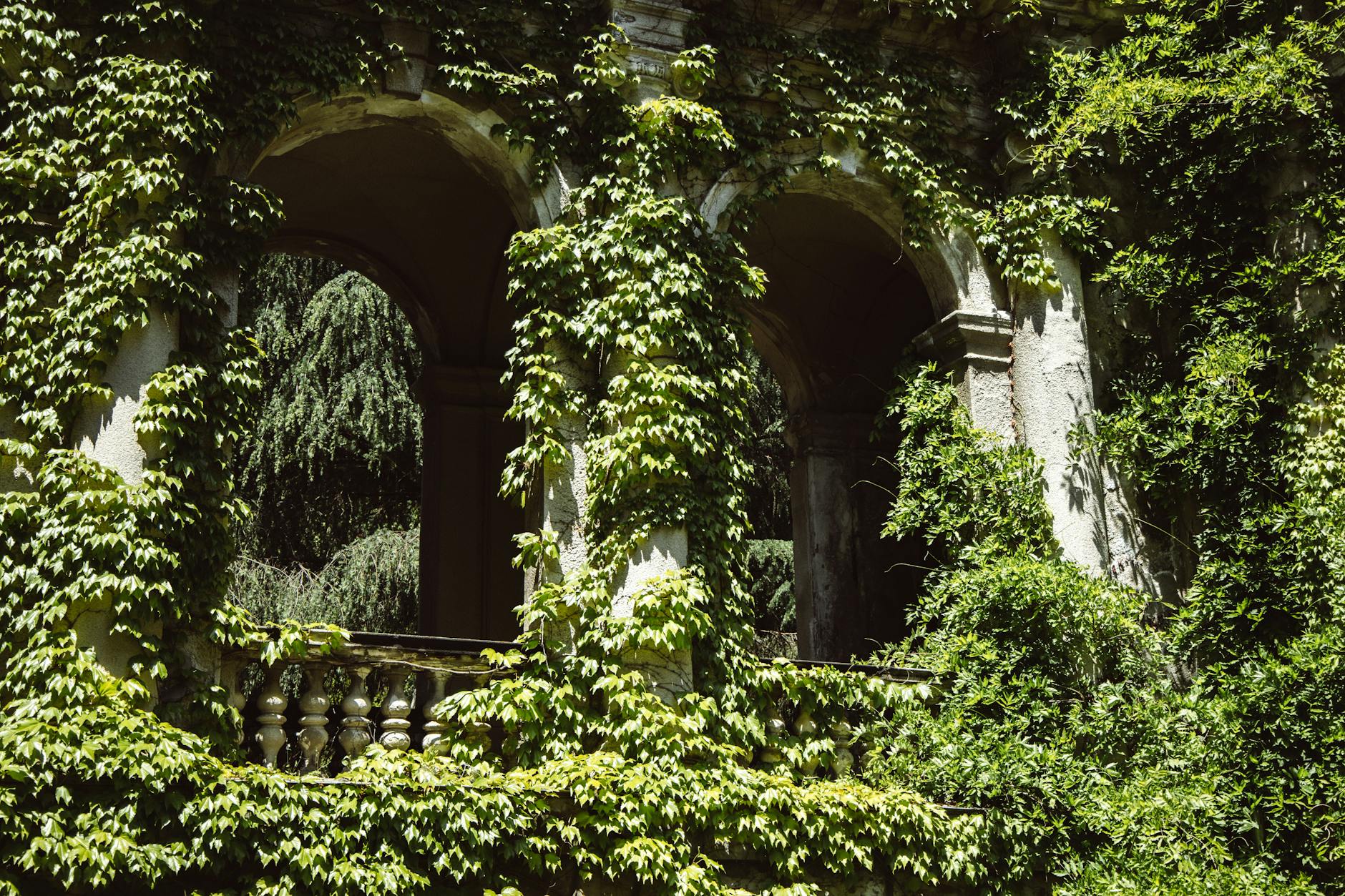 ESG Image 1