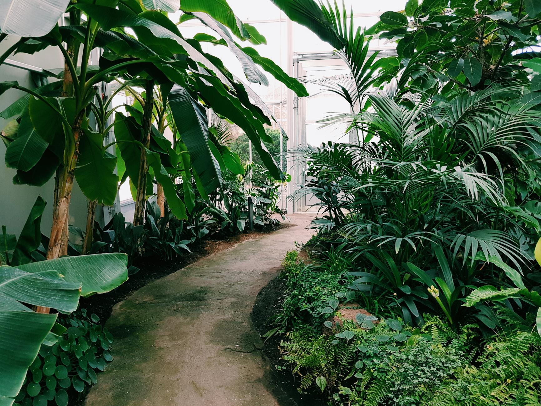 ESG Image 2